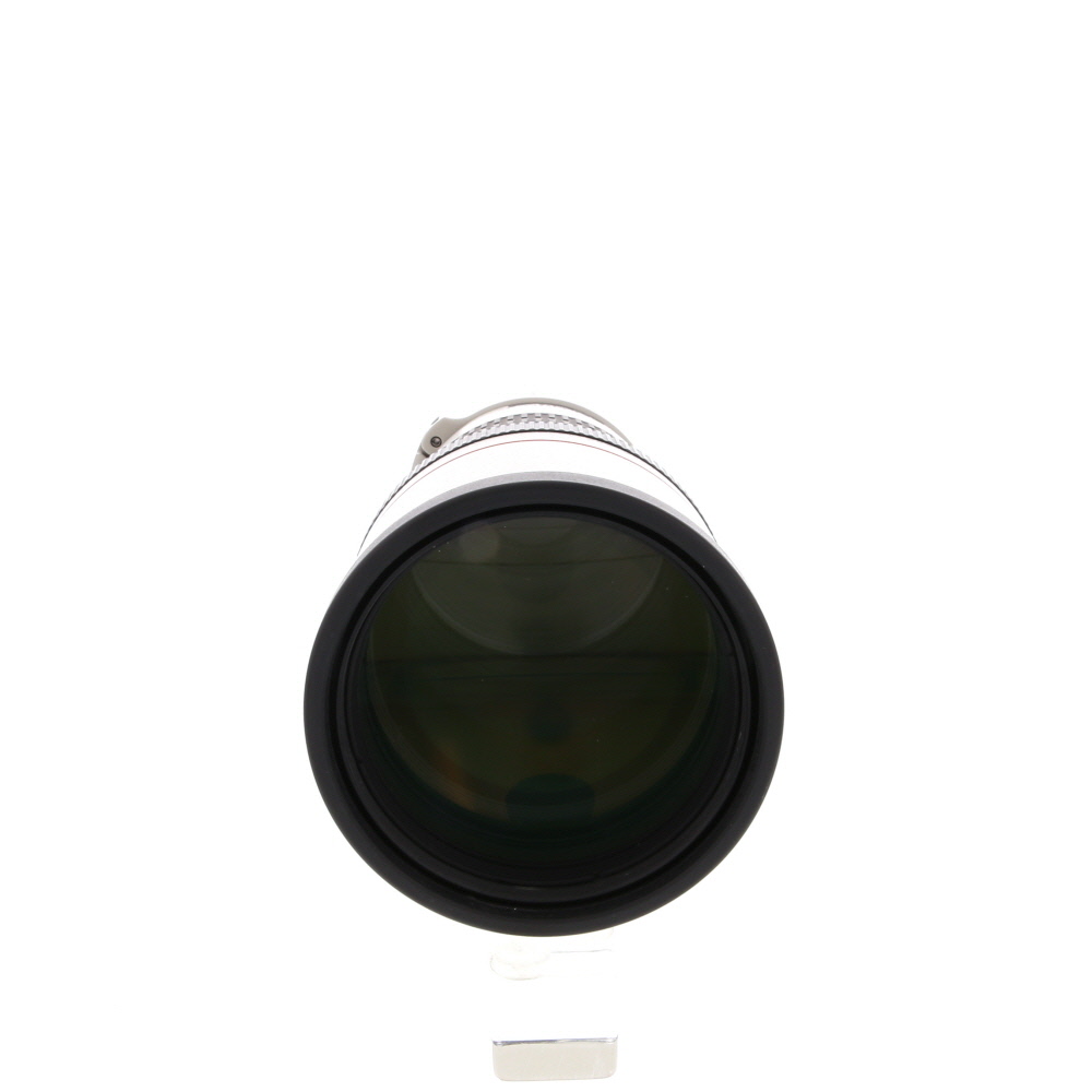 Canon 300mm f/4 L USM EF-Mount Lens
