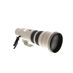 Canon 500mm f/4.5 L USM EF-Mount Lens {Gel} thumbnail