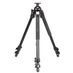 Manfrotto 3001BPro Tripod Legs, 3-Section, Black, 21-55 in. thumbnail