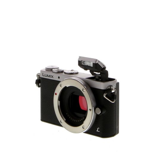 Panasonic Lumix GM1 - Thumbnail 5