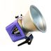 Paul C. Buff Alien Bees B1600 Monolight, Purple Haze thumbnail