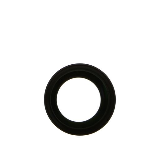 Olympus TCON-17X 1.7X Tele Conversion Lens (for XZ-1)