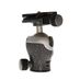 Gitzo GH1382QD Series 1 Center Ball Head for Tripod with 1/4"-20 Quick Release Plate thumbnail