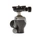 Gitzo GH1382QD Series 1 Center Ball Head for Tripod with 1/4"-20 Quick Release Plate thumbnail