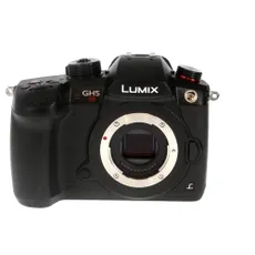 Panasonic LUMIX GF1 ボディ Panasonic Lumix DMC-GF1 Mirrorless MFT (Micro Four Thirds) Camera