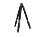 02 thumbnail