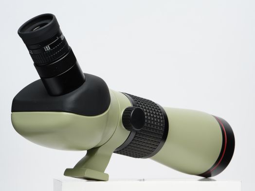 Nikon Fieldscope ED 60A with Angled Viewing, 20-45x Zoom Eyepiece