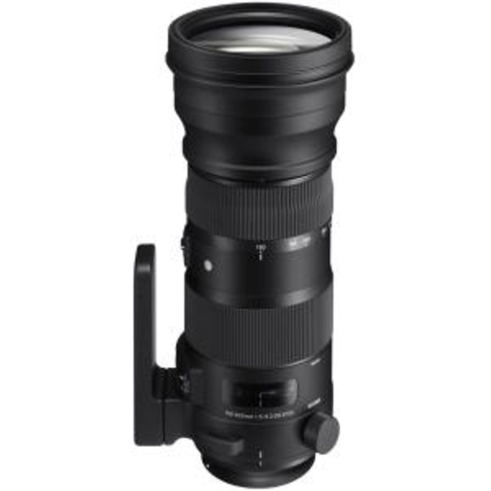 Sigma 150-600mm f/5-6.3 DG OS (HSM) S (Sport) FX Lens for Nikon F