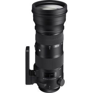 Sigma 150-600mm f/5-6.3 DG OS (HSM) S (Sport) Full-Frame Lens for Canon EF-Mount w/ Tripod Collar/Foot