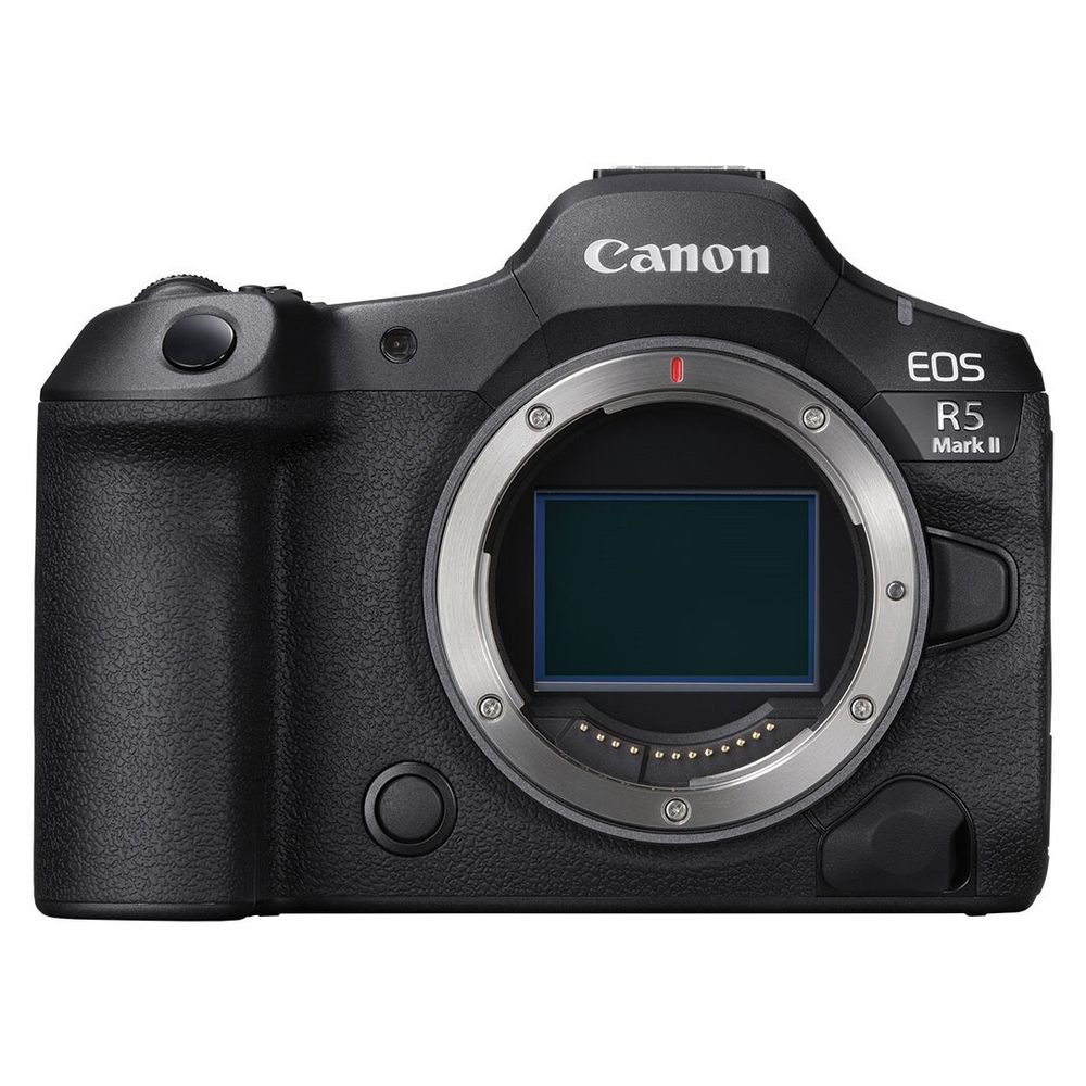 model_392455_1_r1000x.jpg